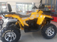 MOTOLAND WILD TRACK X 200