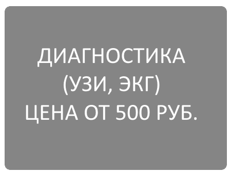 УЗИ и ЭКГ для домашних животных