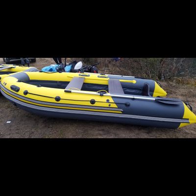 Моторная лодка SKAT TRITON 350