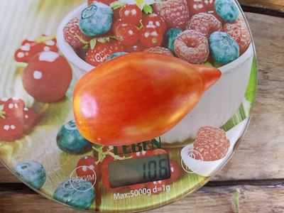 Томат Сливка полосатая