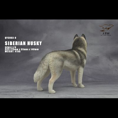 Сибирская хаски (серая) - Коллекционная ФИГУРКА 1/6 scale Husky (QYC003D) - QuanYingCun