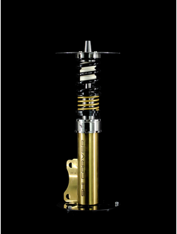 STATIC FINAL: BLACK | GOLD with GOLD METAL BASE