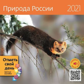 Календарь КОНТЭНТ на 2021 год 290x290 мм (Природа России)