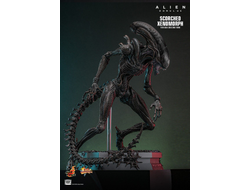 ПРЕДЗАКАЗ - Чужой (Ромул) - Коллекционная ФИГУРКА 1/6 Scorched Xenomorph Alien: Romulus (MMS784) - Hot toys ?ЦЕНА: 48600 РУБ.?
