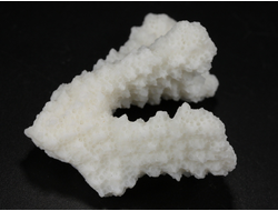 Коралл белый, коллекционный образец, Китай (52*40*33 мм, 23 г) №37698