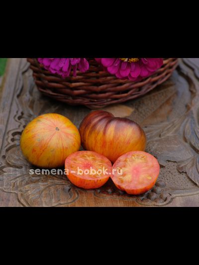 Томат Мечта Алисы (Alice's Dream), 10 шт