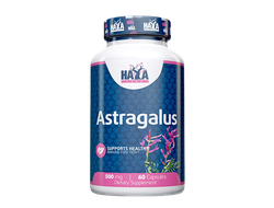 Astragalus 500mg