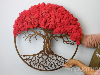 ЖИВАЯ ЭКО-КАРТИНА 1023