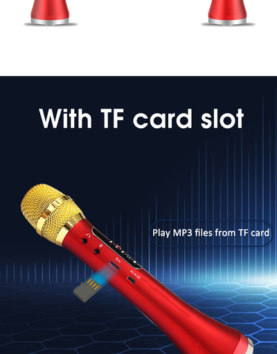 Профессиональный   караоке-микрофон  L-1098DSP  30w