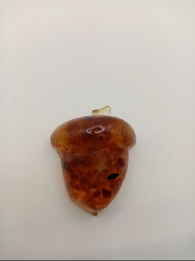 Магнит желудь.