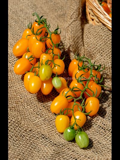 Томат  Datterini yellow (Даттерини Желтый), 10 шт