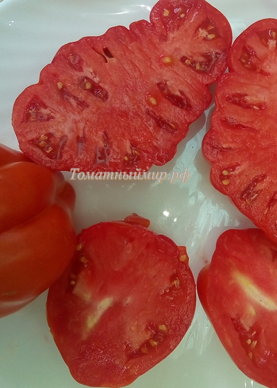 Томат Красная груша гигант Гран-Сассо  (Red Pear Giant Gransasso), Италия