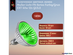 FN-LIGHT Farbig/Grun EXT 50w 12v 14° GU5.3