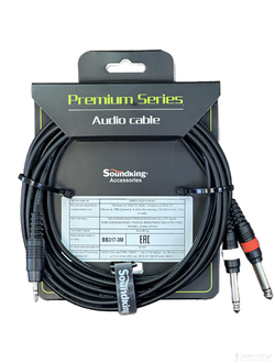 Soundking BB317-3M (3м)