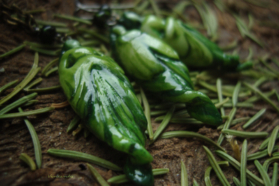 Комплект фарфоровых украшений "Лесная принцесса"
