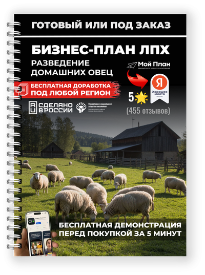 Бизнес-план для ЛПХ: Овцеводство