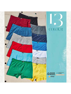 Трусы мужские боксеры модал Berrak 4488