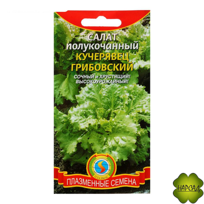 САЛАТ "КУЧЕРЯВЕЦ ГРИБОВСКИЙ"