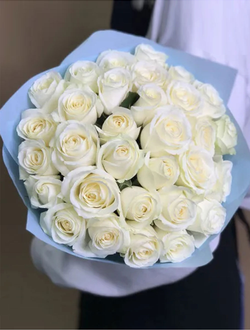 31 роза  (цвет на выбор)