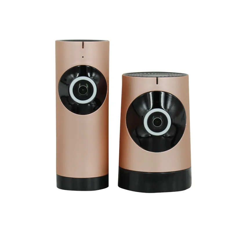 панорамная WiFI видеокамера с сервисом P2P DE-Wfish/Wfish_mini