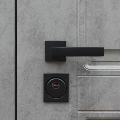 Стальная дверь   Лира