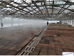 Дождеватель туманообразующий зеленый,  53,9-81,7л/ч, радиус 1-1,2м