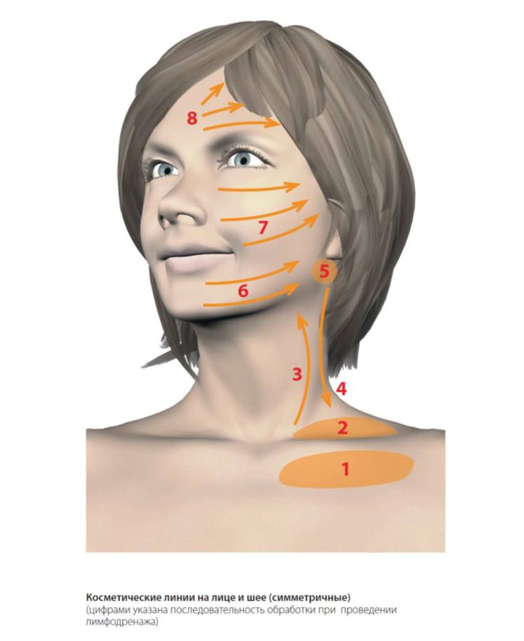 Схема косметических линий на лице