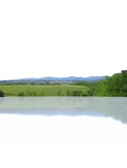 горизонт Деревья на горизонте 10