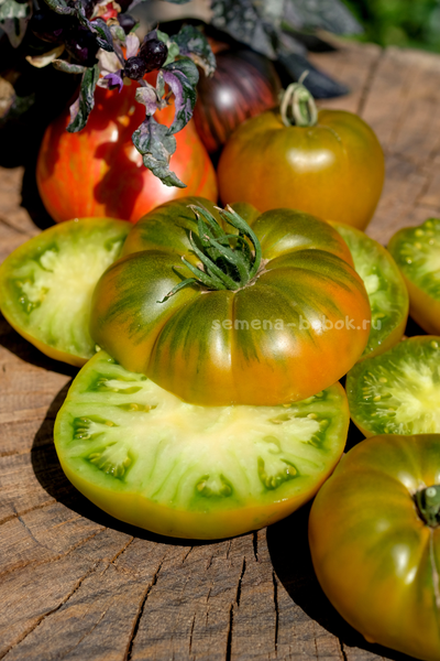 Томат Ярсон 20 (Jarson 20), 10 шт