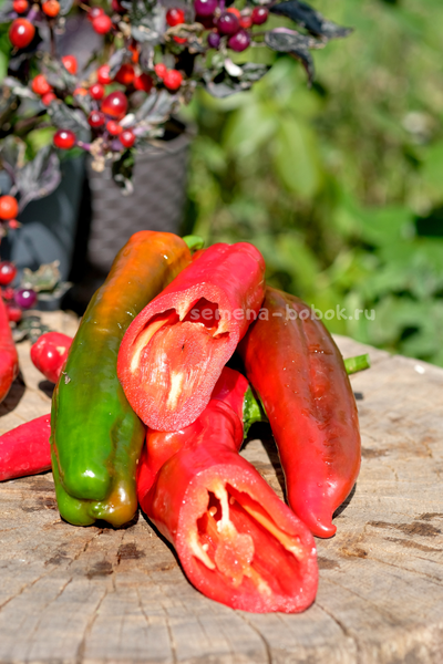 Перец сладкий Тронторолло, 10 шт