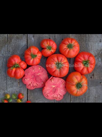 Томат Red Brandywine, Landis Valley (Красный Брендивайн Долина Лэндис), 10 шт