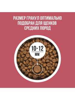 BOWL WOW (Боул Вау) корм сухой для щенков средних пород Индейка, Рис, Клюква, 2 кг