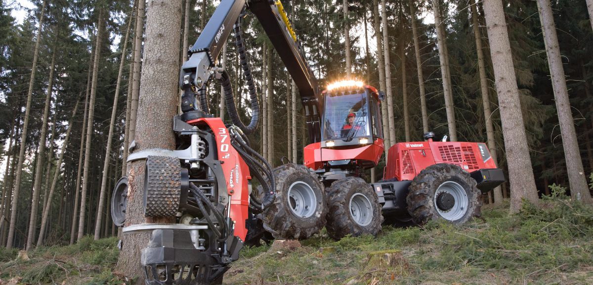 инвестии в лесную отрасль