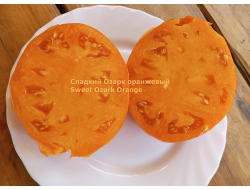 Томат Сладкий оранжевый Озарка (Sweet Ozark Orange)