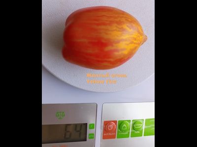 Томат Желтый огонь (Yellow fire, Желтое пламя)