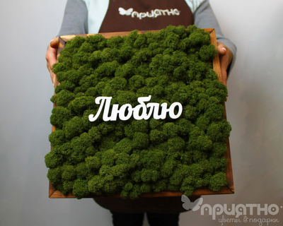 ЖИВАЯ ЭКО-КАРТИНА 1063