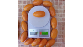 Персиковый принц