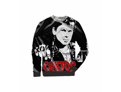 Свитшот 3D с полной запечаткой Сектор Газа, Юрий Хой №1