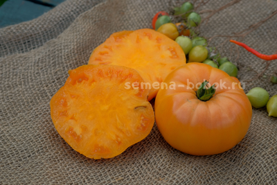 Томат Apricot Brandywine (Абрикосовый Брендивайн), 10 шт