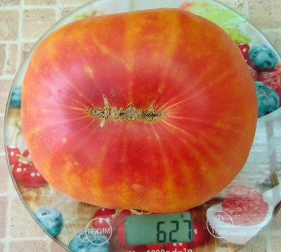 Томат Немецкий полосатый (Striped German)