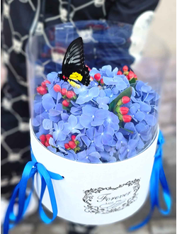 Синяя гортензия с большой бабочкой №61