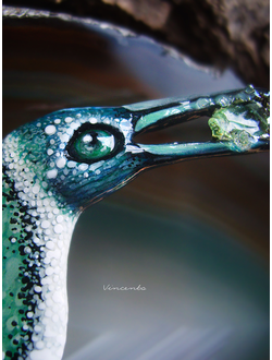 Брошь с изумрудом "Заполярный пингвин Альраи, ледяная птица"