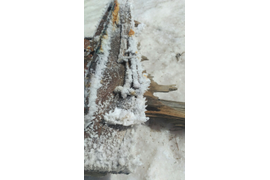 кристалы соли на Сасык-Сиваш