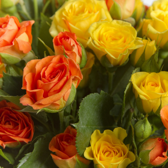 Разноцветный букет из 21 кустовой розы