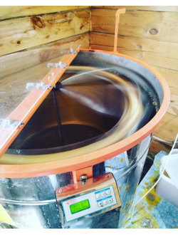 натуральный мед с пасеки