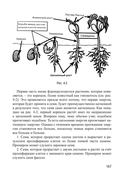 Риэмс и Джадам. Эффективные технологии плодородия. В 2-х томах. Том 1. Сост. и перевод с англ. Елена Кулагина.
