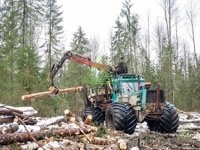 Бревна хвойные для распиловки и строгания ГОСТ 9463-88 (ель, сосна) тонкомер 12-24 см