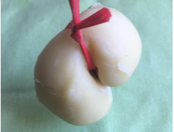 Сыр скаморца из цельного коровьего молока