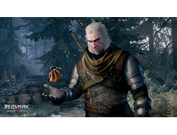 ИграThe Witcher 3: Wild Hunt (PS5)