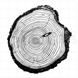 Штамп древесный спил с корой, черно-белая графика